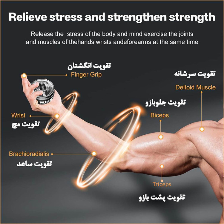توپ ورزشی ژیروبال